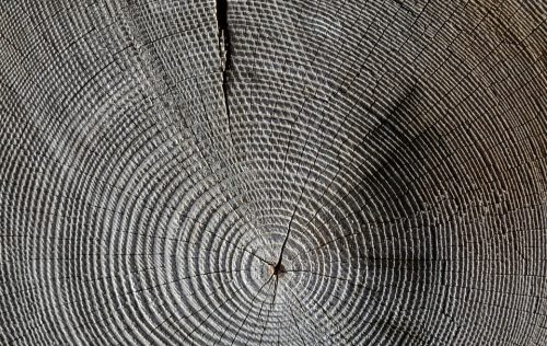 wood-618673_960_720