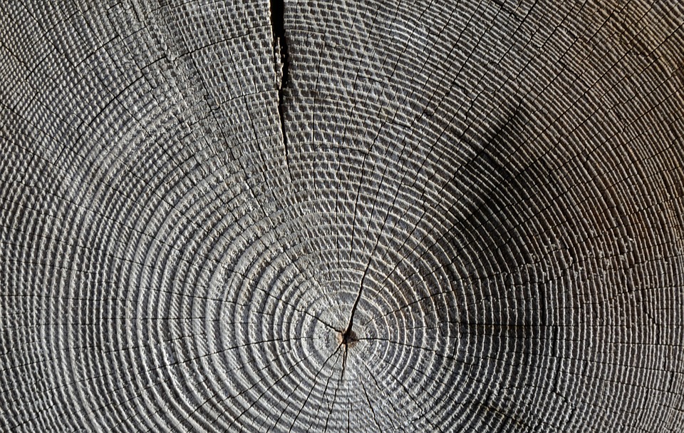 wood-618673_960_720