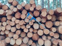 20230322_163348_Easy-Resize.com (1)