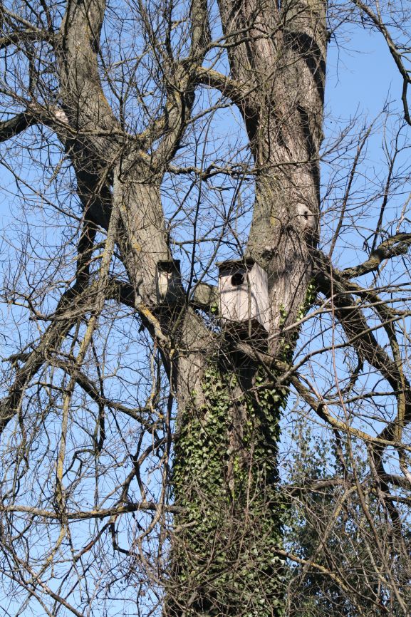 IMG_4012
